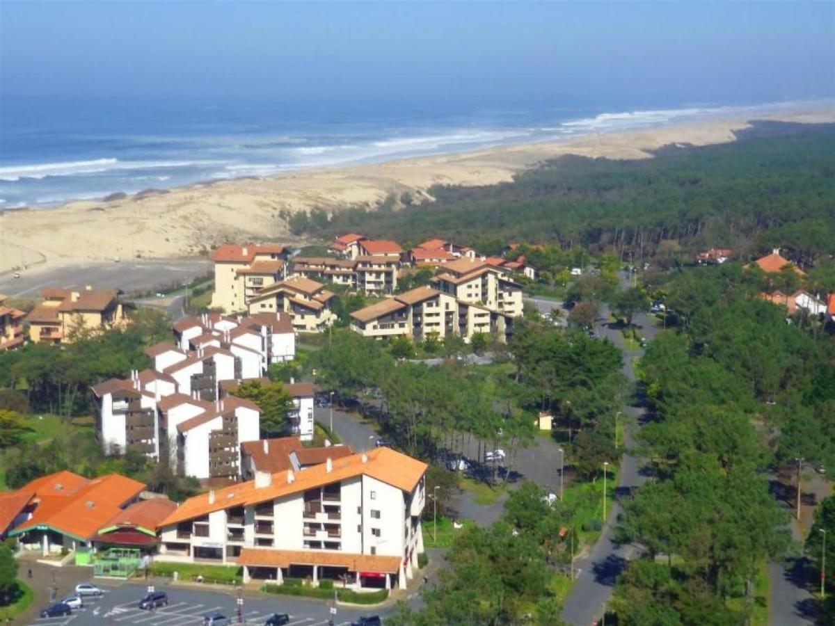 Studio Cosy A Seignosse : A Deux Pas De L'Ocean, Proche Centre, Ideal Vacances A Pied - Fr-1-239-400 Apartment